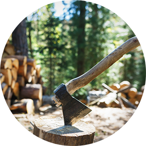 Drewno kominkowe, czyli jak przygotować się do sezonu grzewczego?